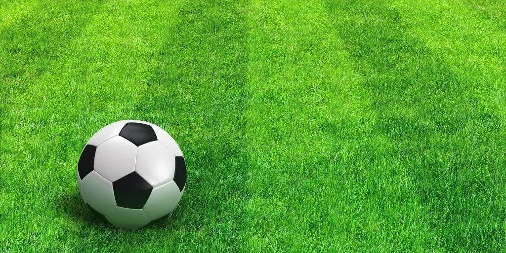 资深玩家深度分析场景