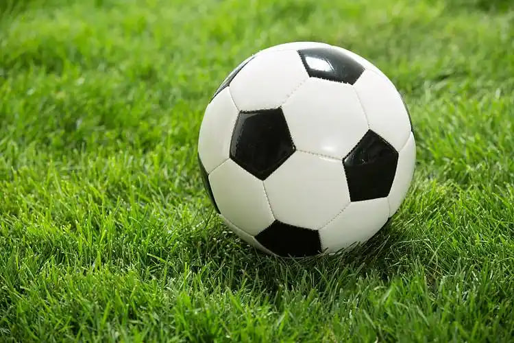 足彩不死鸟20070多平台下载展示